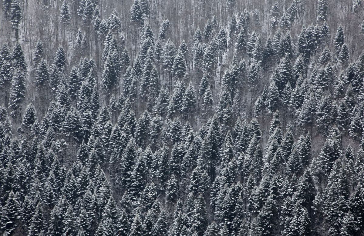 Mavrovo ski resort with mountain terrain and lift infrastructure